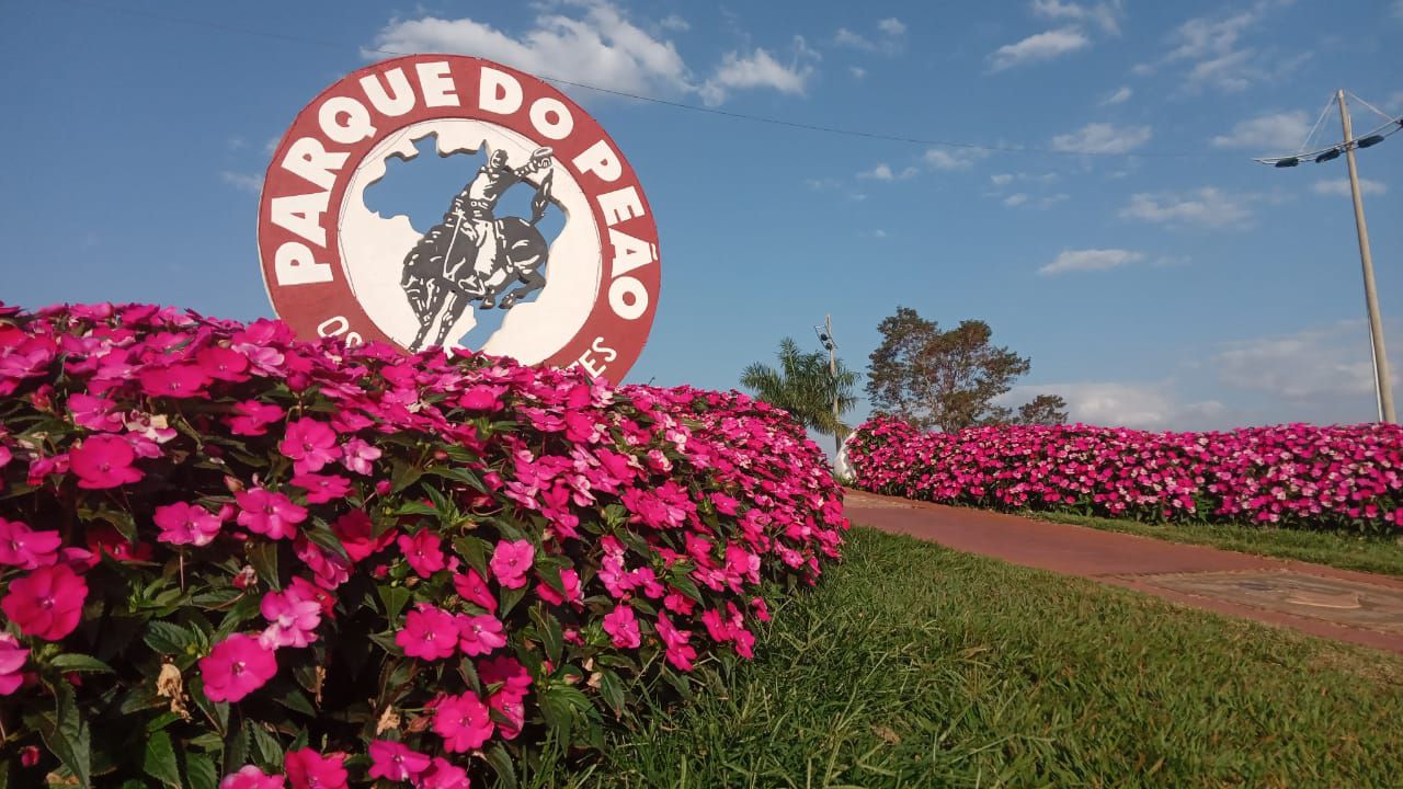 Imagem JPG, Parque do Peão espera turistas com mais de 50 mil flores