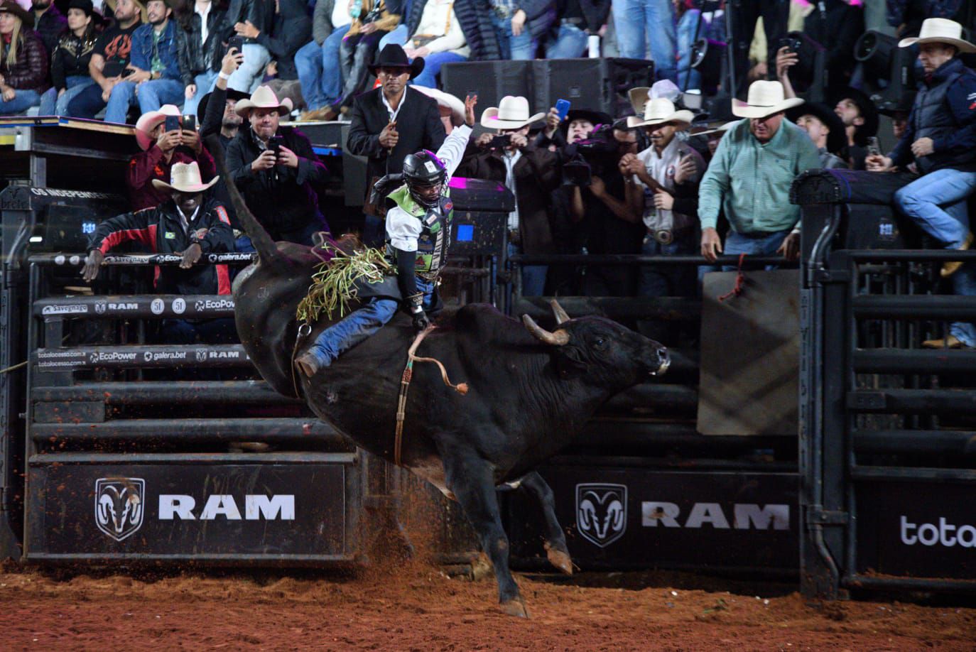 Imagem JPG, Touro Briga de Galo vence Desafio do Bem