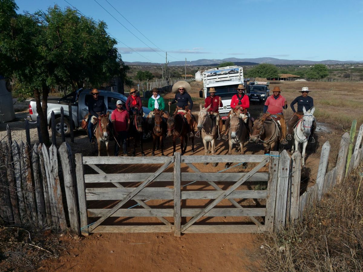 Imagem JPG, Grupo baiano percorre aventura de 1,6 mil quilômetros em mulas para participar da Festa do Peão de Barretos
