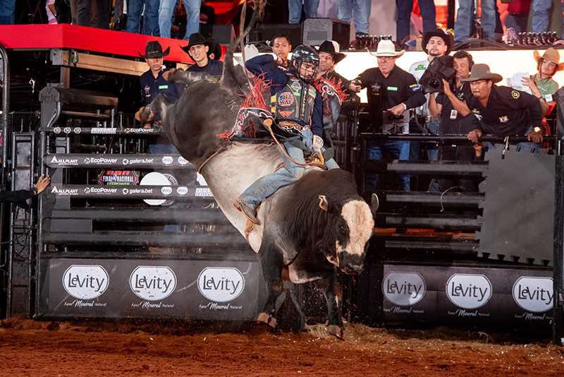 Imagem JPG, Solidariedade na terra das emoções: Hospital de Amor e Os Independentes promovem ações em prol do maior centro oncológico da América Latina