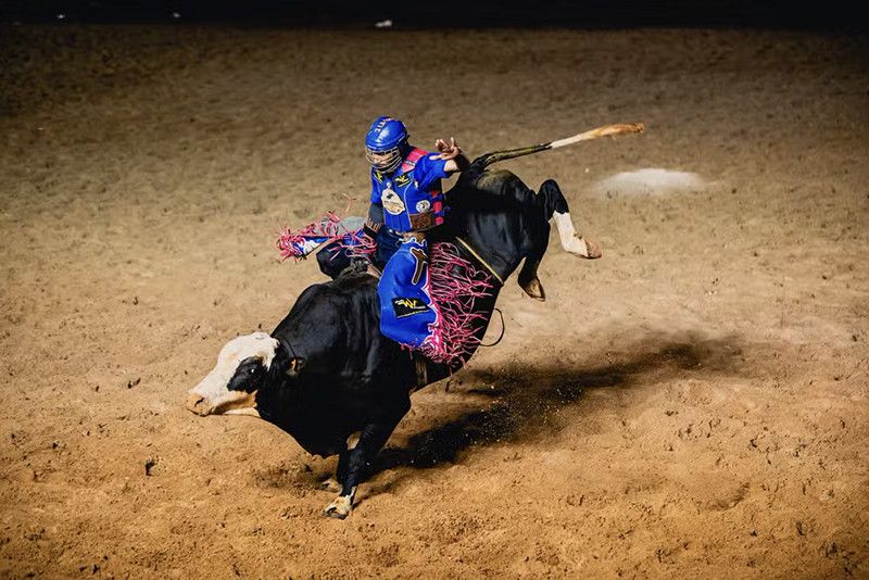 O peão Everton Natan da Silva, natural de Viradouro (SP), vence a disputa individual da montaria em touros no Ribeirão Rodeo Music 2024 em Ribeirão Preto, SP (Divulgação)