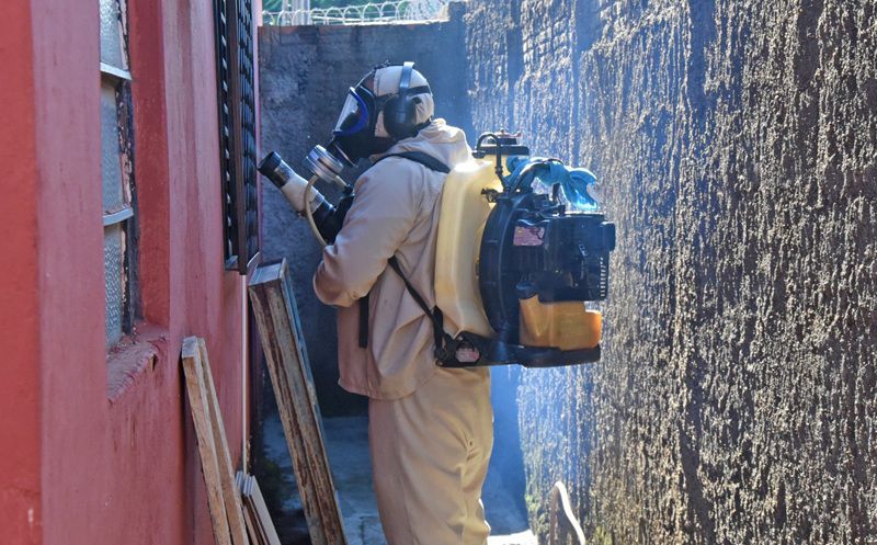 Imagem JPG, Controle de Vetores intensifica ações de combate à dengue