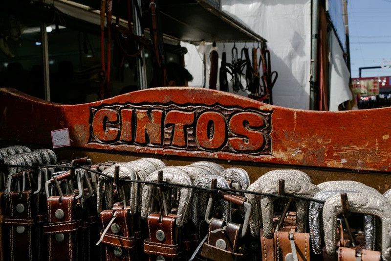  (Ricardo Chicarelli)