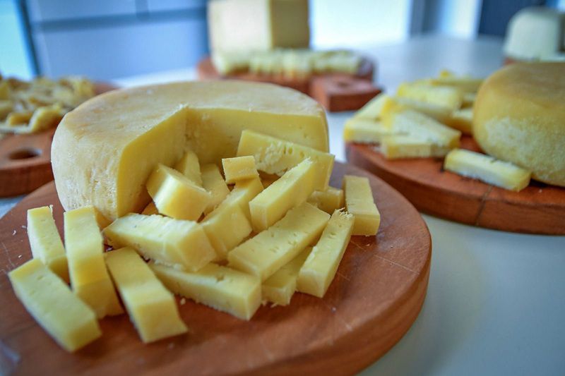 Imagem JPG, Festival do Queijo Artesanal de Minas chega à 7ª edição com programação intensa e experiências para toda a família