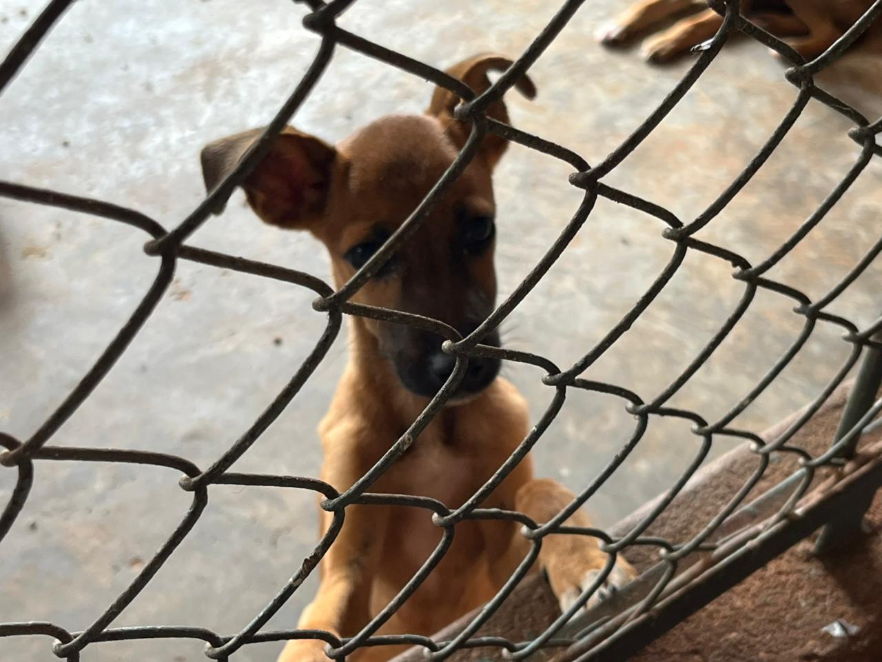 Imagem JPG, Prefeitura de Barretos renova convênio com a ABA