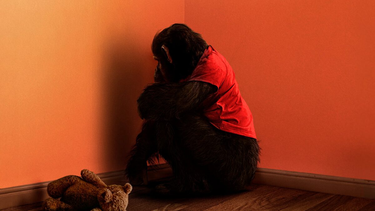 Imagem JPG, Suspense e terror tomam conta do Centerplex com a estreia de “O Primata”