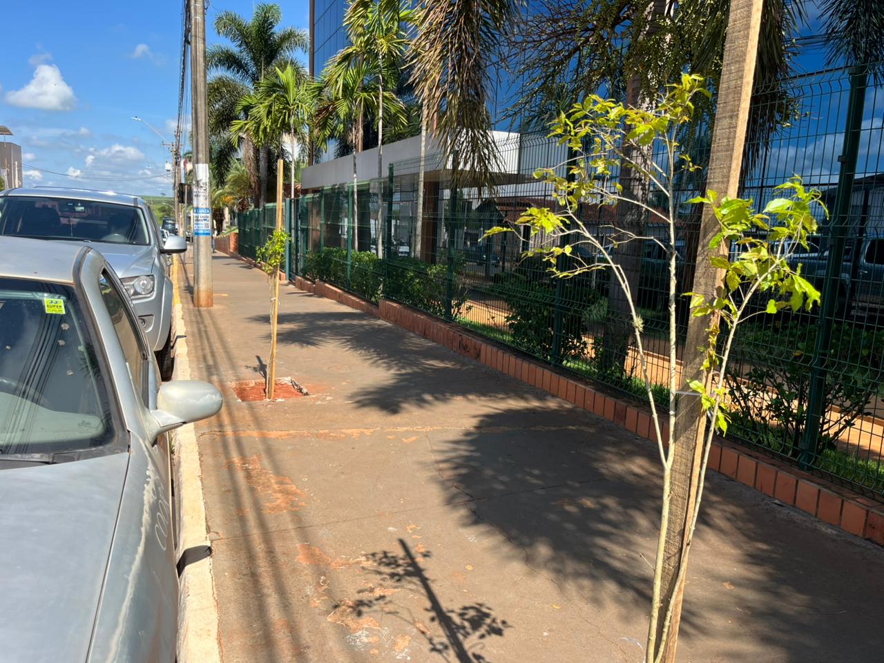 Imagem JPG, Prefeitura de Barretos planta mais de mil mudas de árvores no entorno do Hospital de Amor