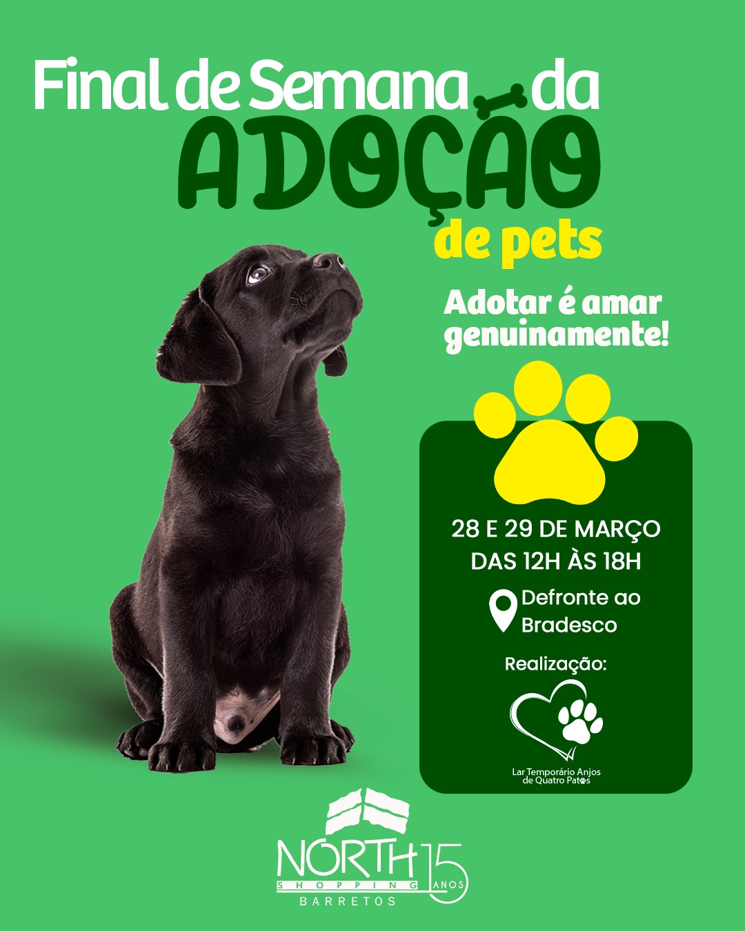 Feira de adoção de pets acontece neste fim de semana no North Shopping Barretos
